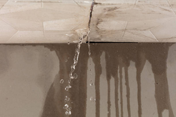 Professional Structural Drying technician working in Bourneville, OH